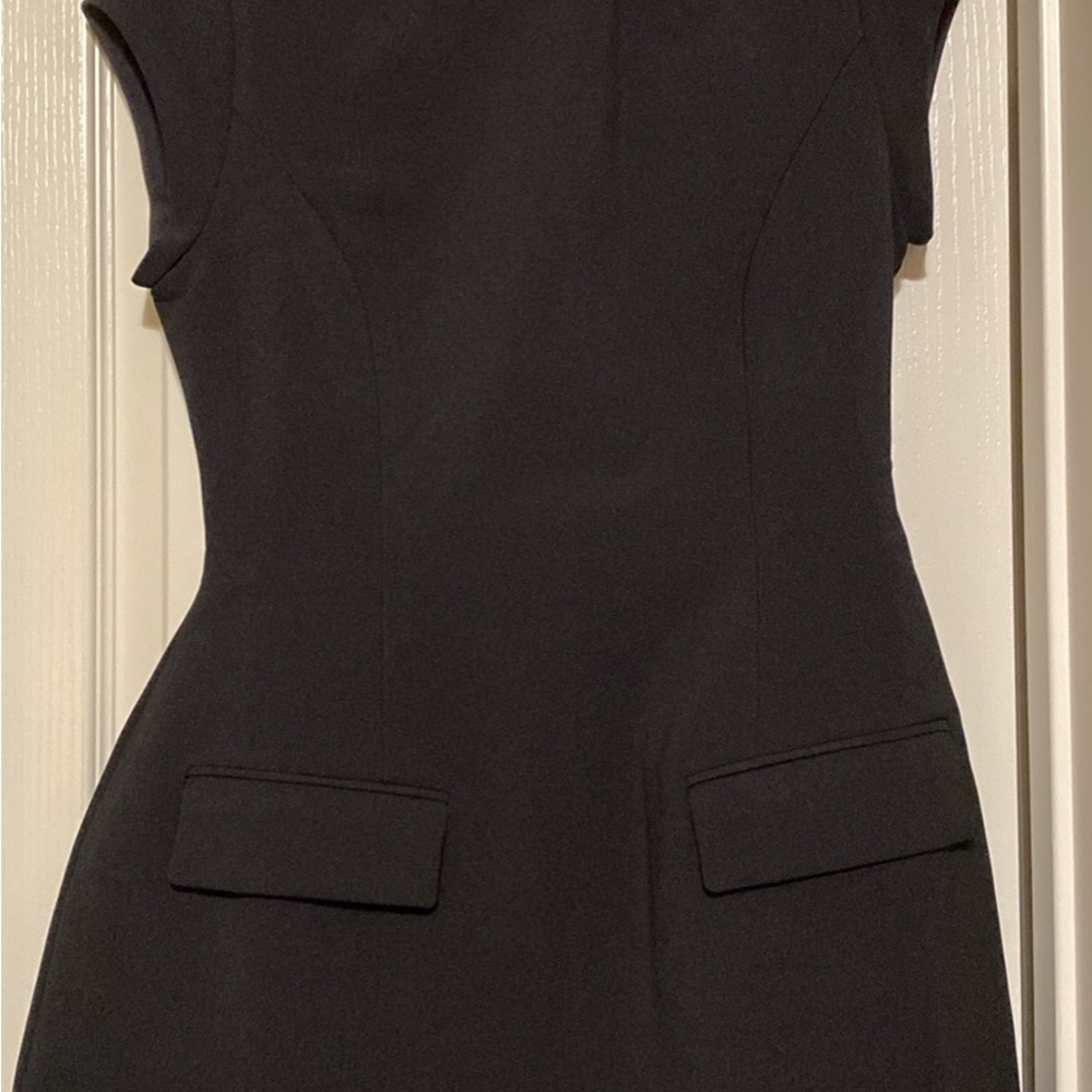 The ultimate muse cap sleeve mini dress Black